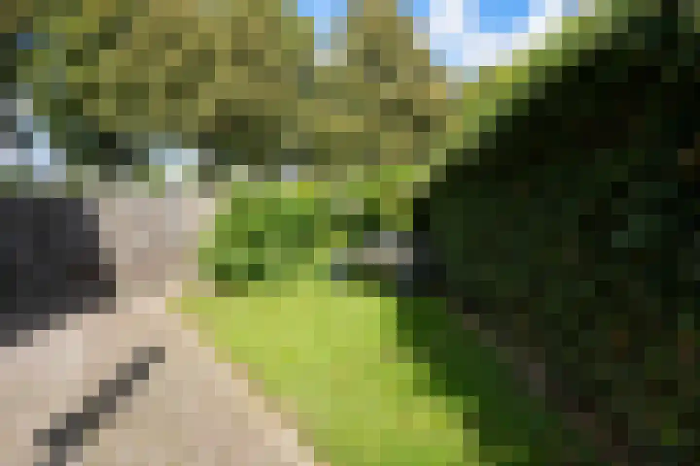 Rijksweg Noord 185 Geleen thumbnail 26