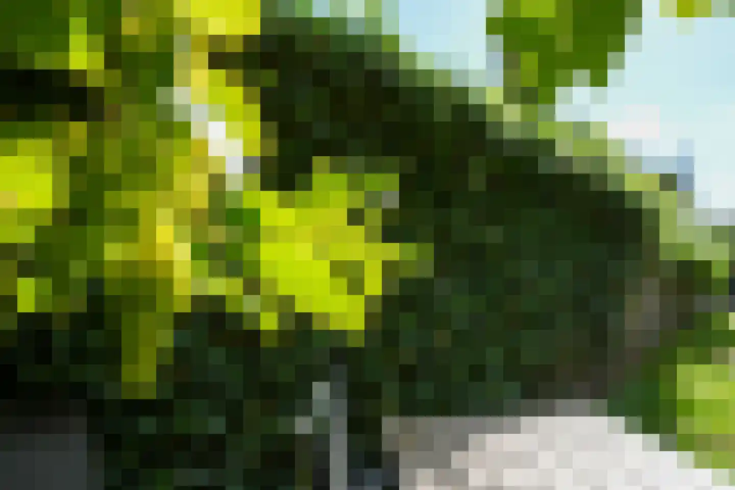 Rijksweg Noord 185 Geleen thumbnail 28