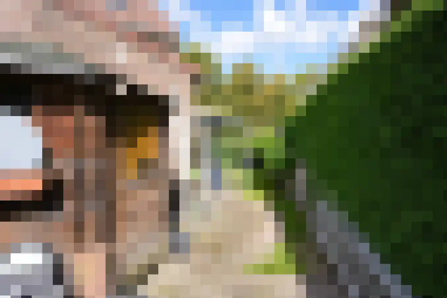 Rijksweg Noord 185 Geleen thumbnail 32