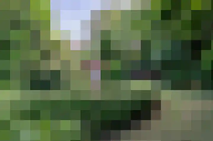 Rijksweg Noord 189 Geleen thumbnail 16