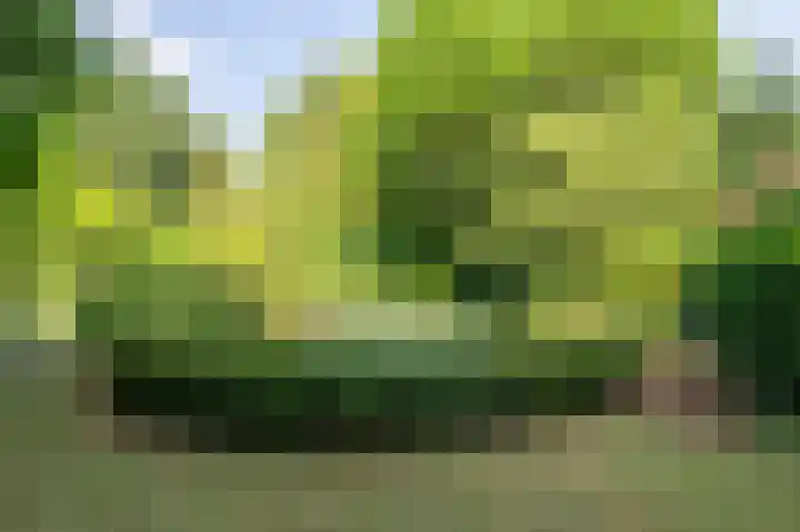 Rijksweg Noord 189 Geleen thumbnail 17