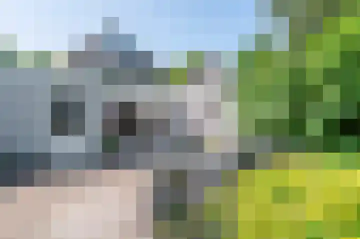 Rijksweg Noord 189 Geleen thumbnail 19