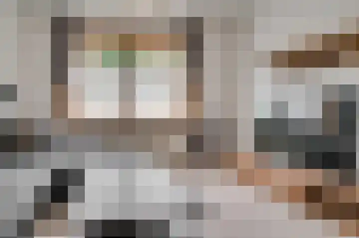 Rijksweg Noord 19 Belfeld thumbnail 10
