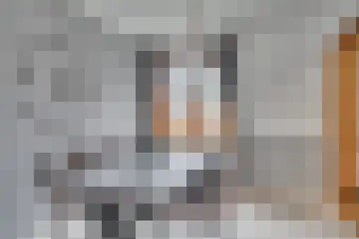 Rijksweg Noord 19 Belfeld thumbnail 14