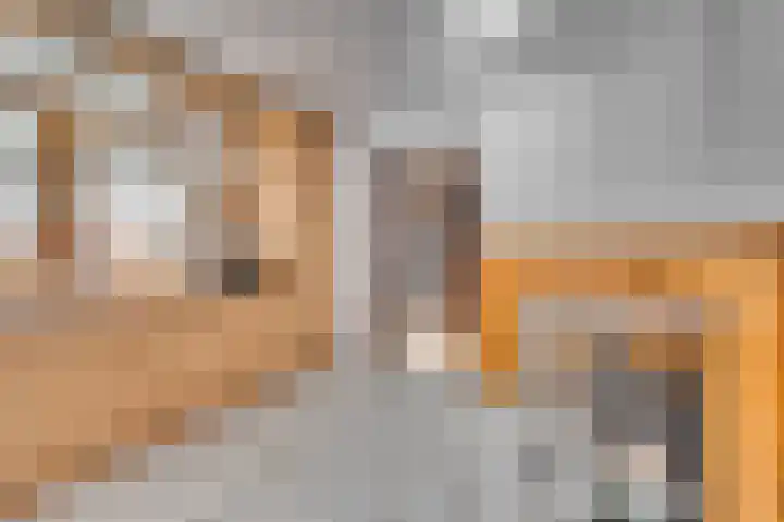 Rijksweg Noord 19 Belfeld thumbnail 15
