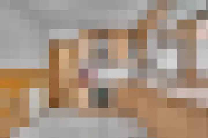 Rijksweg Noord 19 Belfeld thumbnail 17