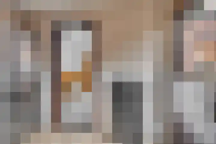 Rijksweg Noord 19 Belfeld thumbnail 19