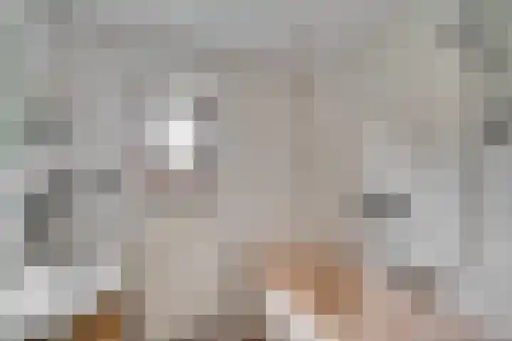 Rijksweg Noord 19 Belfeld thumbnail 20