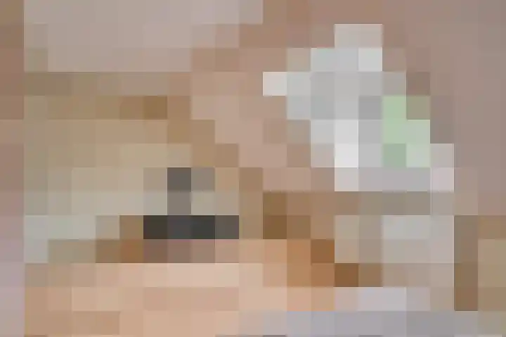 Rijksweg Noord 19 Belfeld thumbnail 25