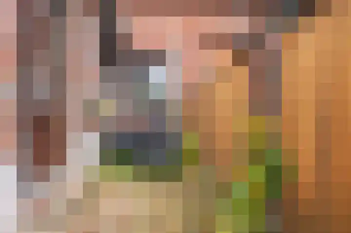 Rijksweg Noord 19 Belfeld thumbnail 32