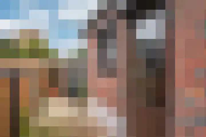 Rijksweg Noord 19 Belfeld thumbnail 34