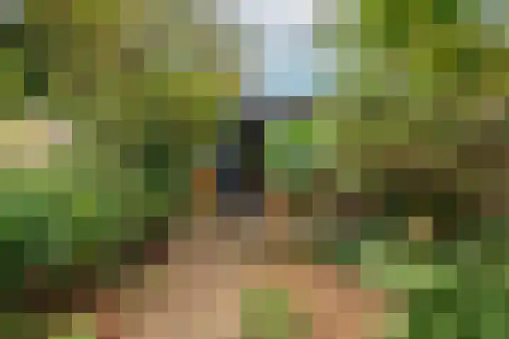 Rijksweg Noord 19 Belfeld thumbnail 40