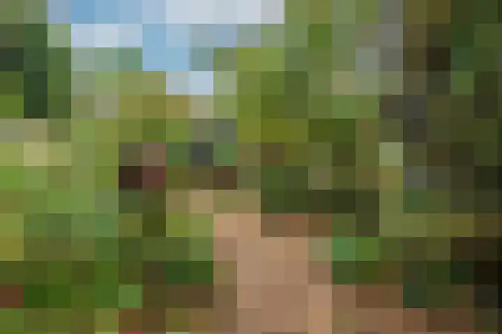 Rijksweg Noord 19 Belfeld thumbnail 41
