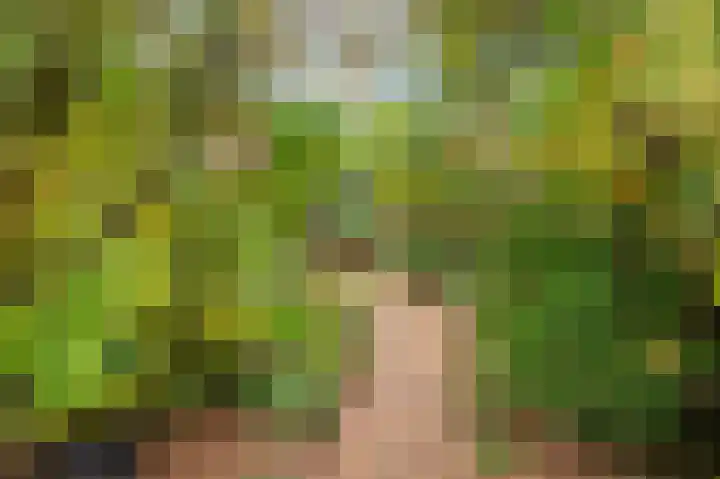Rijksweg Noord 19 Belfeld thumbnail 42