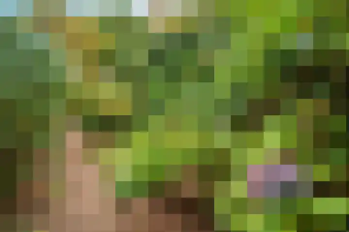 Rijksweg Noord 19 Belfeld thumbnail 43