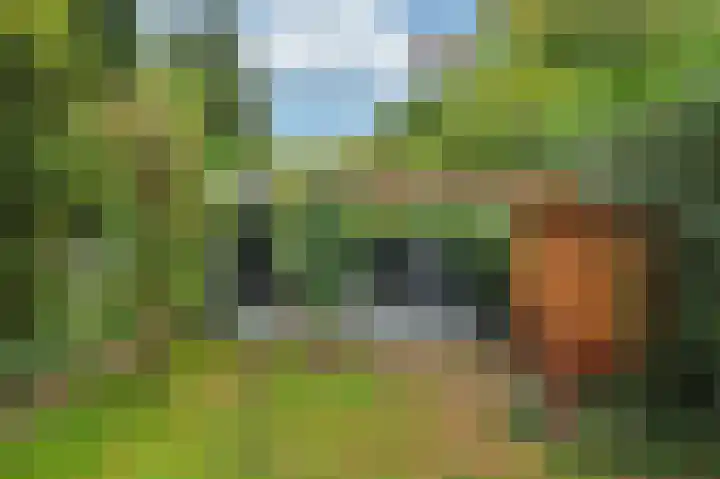 Rijksweg Noord 19 Belfeld thumbnail 44