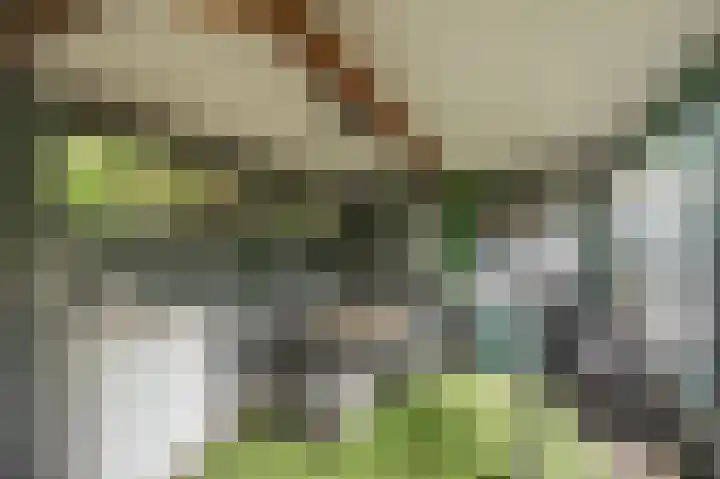 Rijksweg Noord 19 Belfeld thumbnail 45