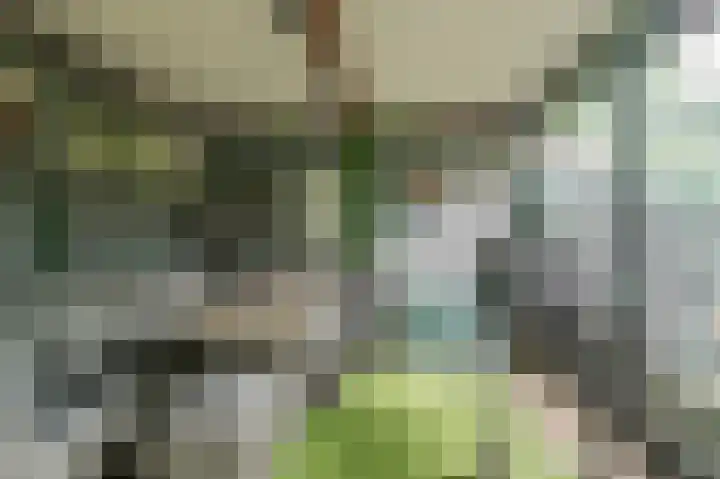 Rijksweg Noord 19 Belfeld thumbnail 46