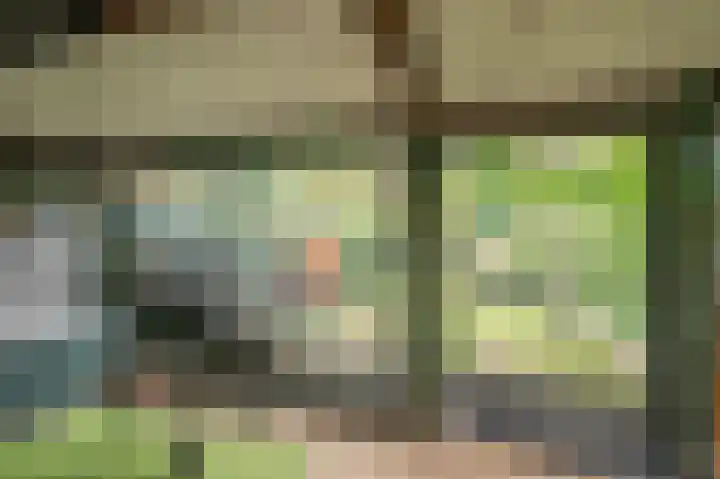 Rijksweg Noord 19 Belfeld thumbnail 47