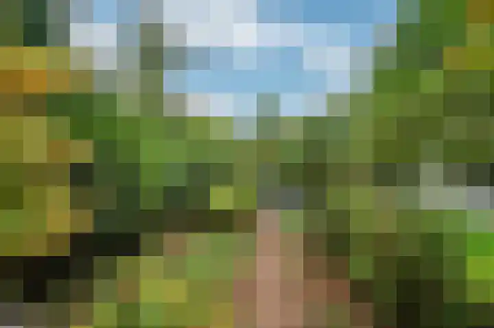 Rijksweg Noord 19 Belfeld thumbnail 48