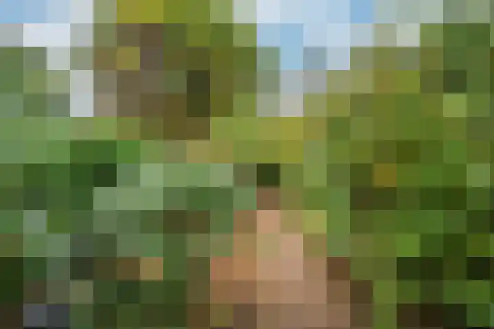 Rijksweg Noord 19 Belfeld thumbnail 49