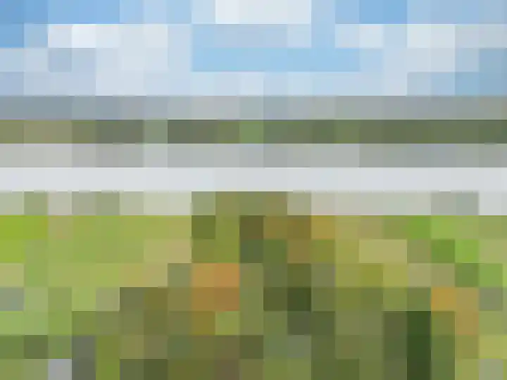 Rijksweg Noord 19 Belfeld thumbnail 5
