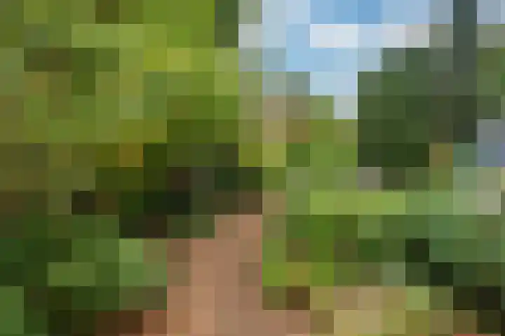 Rijksweg Noord 19 Belfeld thumbnail 50