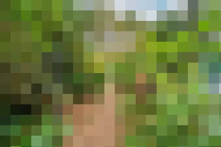 Rijksweg Noord 19 Belfeld thumbnail 51