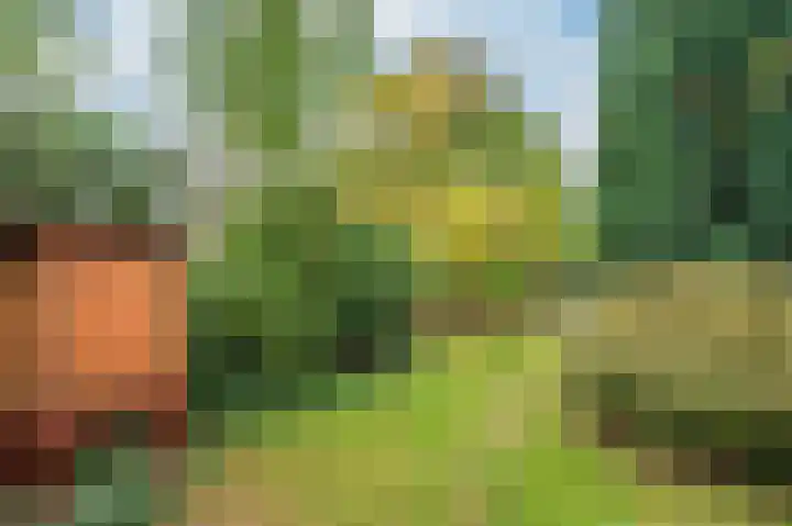 Rijksweg Noord 19 Belfeld thumbnail 52