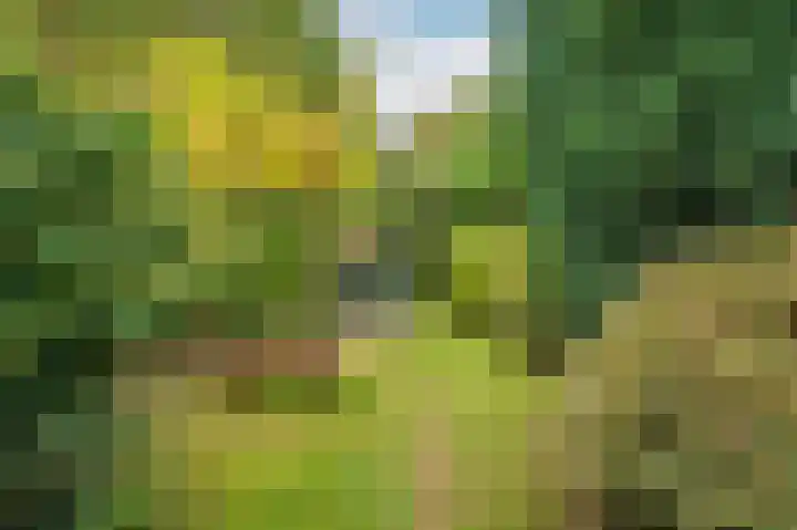 Rijksweg Noord 19 Belfeld thumbnail 53