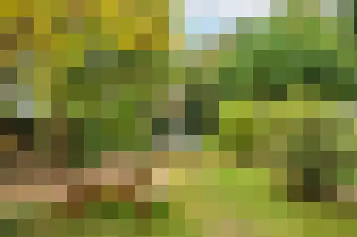 Rijksweg Noord 19 Belfeld thumbnail 54