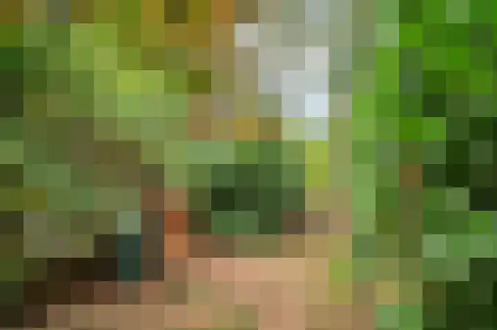 Rijksweg Noord 19 Belfeld thumbnail 56