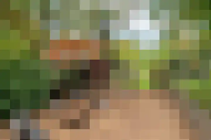 Rijksweg Noord 19 Belfeld thumbnail 57