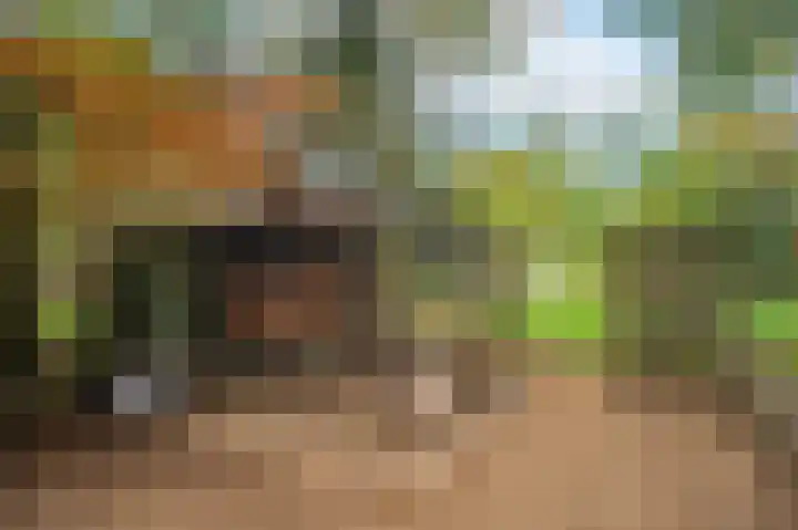 Rijksweg Noord 19 Belfeld thumbnail 58