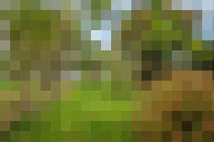 Rijksweg Noord 19 Belfeld thumbnail 59