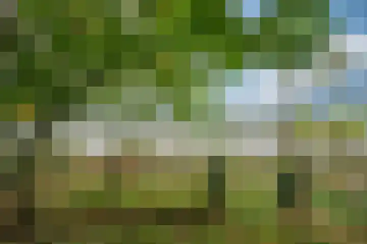 Rijksweg Noord 19 Belfeld thumbnail 60