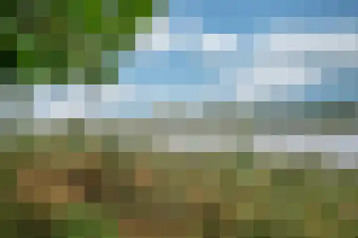 Rijksweg Noord 19 Belfeld thumbnail 64