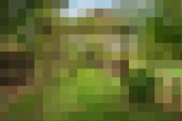 Rijksweg Noord 19 Belfeld thumbnail 65