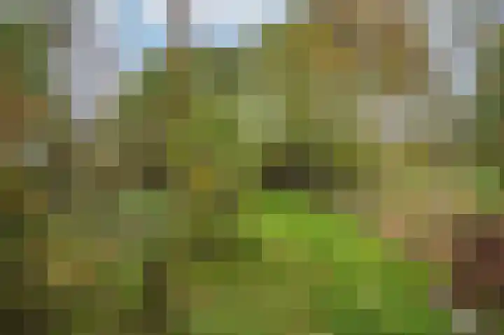 Rijksweg Noord 19 Belfeld thumbnail 66
