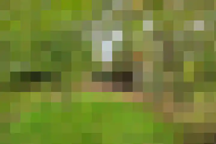 Rijksweg Noord 19 Belfeld thumbnail 67