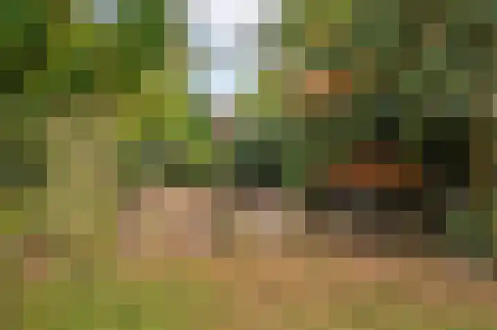 Rijksweg Noord 19 Belfeld thumbnail 68