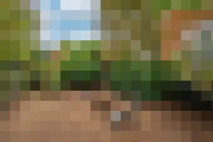 Rijksweg Noord 19 Belfeld thumbnail 69