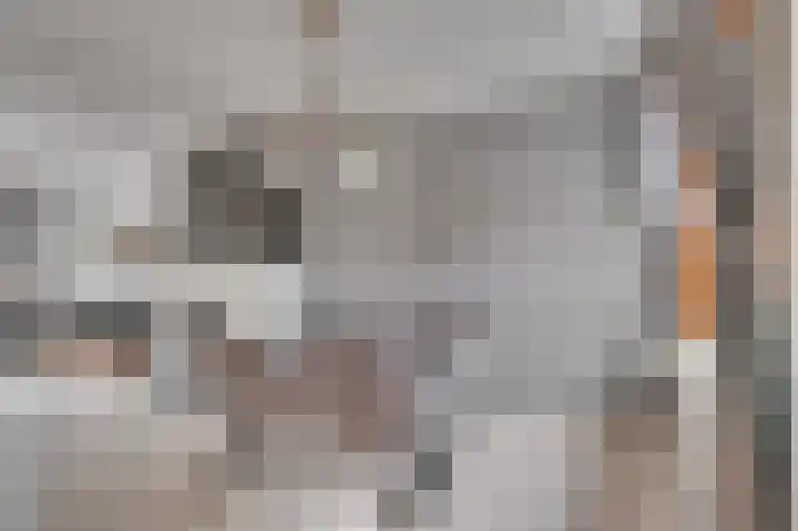 Rijksweg Noord 19 Belfeld thumbnail 7