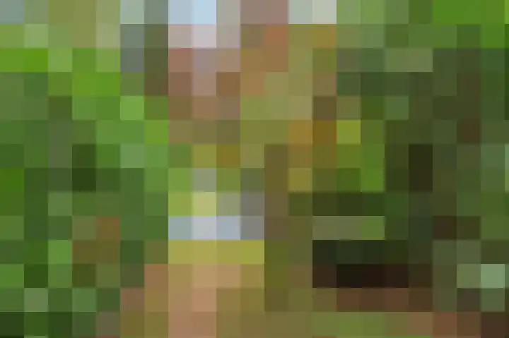 Rijksweg Noord 19 Belfeld thumbnail 70