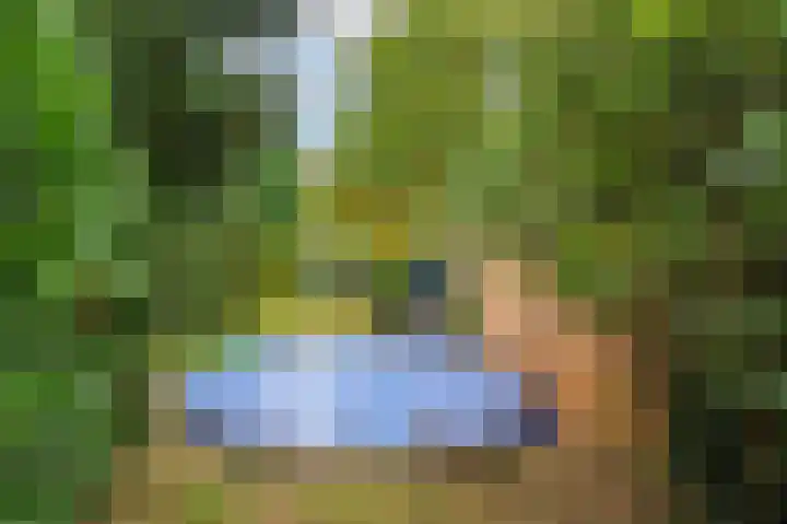 Rijksweg Noord 19 Belfeld thumbnail 71