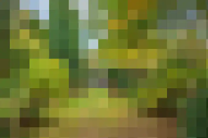 Rijksweg Noord 19 Belfeld thumbnail 72
