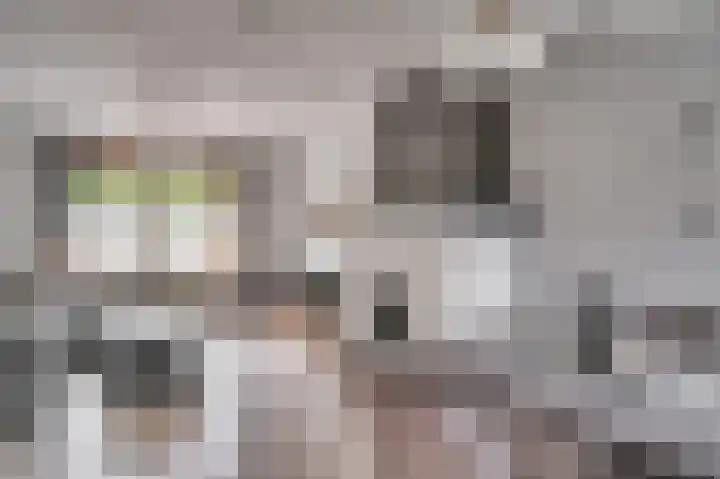 Rijksweg Noord 19 Belfeld thumbnail 8