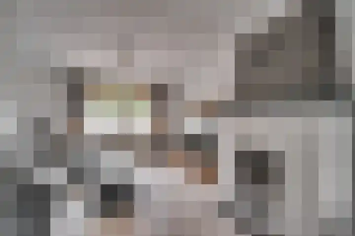 Rijksweg Noord 19 Belfeld thumbnail 9