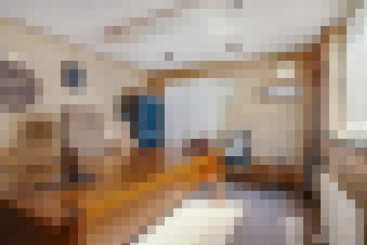 Rijksweg Noord 200 Sittard thumbnail 23