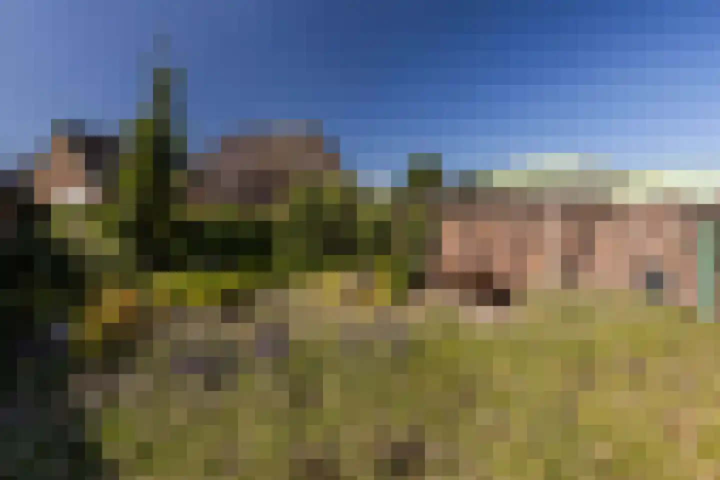 Rijksweg Noord 200 Sittard thumbnail 24
